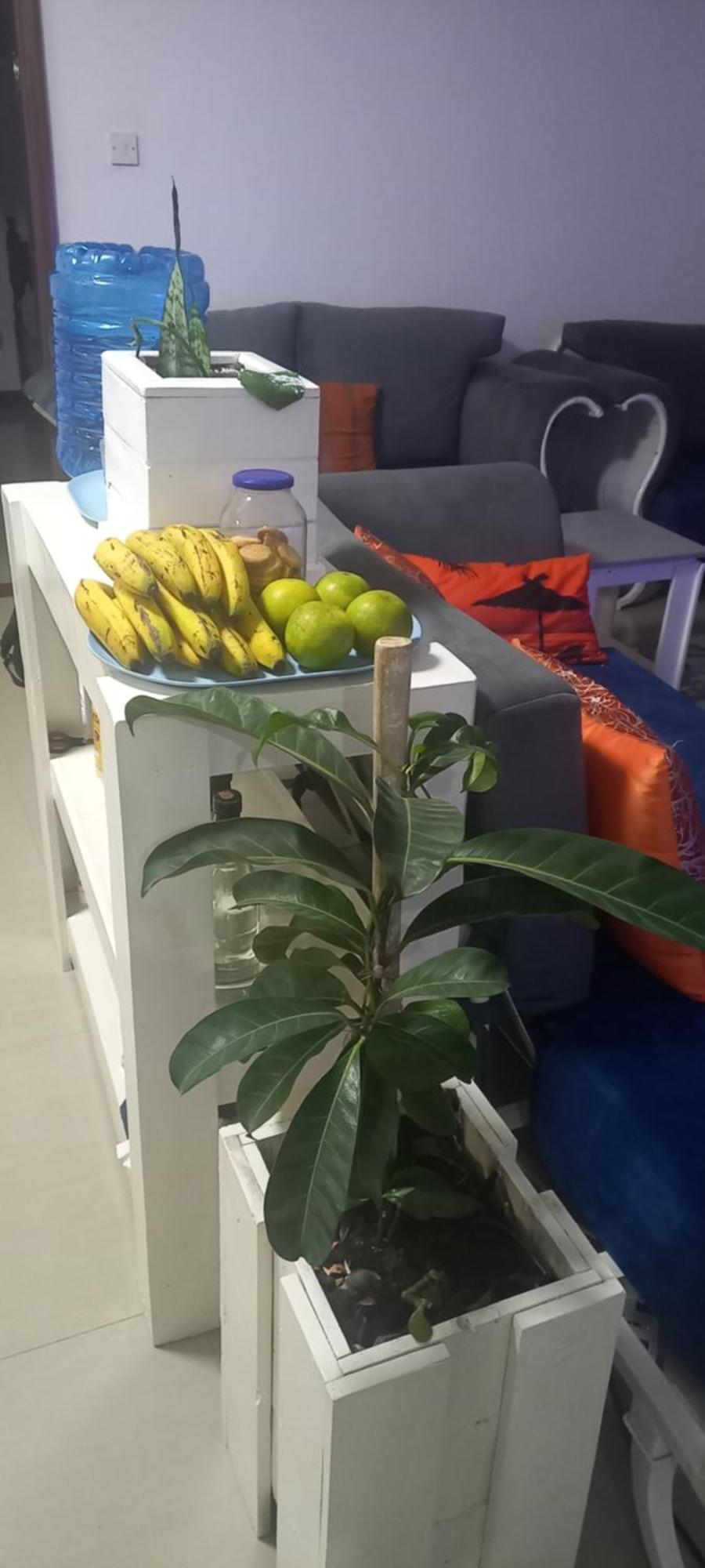 Tcr Residences At Kings Millennium- 3Bdrm Apts, All Ensuite, 7Km To Jki Airport, 7Km To Cbd Nairobi Exteriör bild